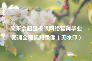 文东会超越极限网络营销毕业密训全程视频录像（无水印）