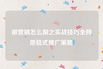 微营销怎么做之实战技巧全网地毯式推广策略