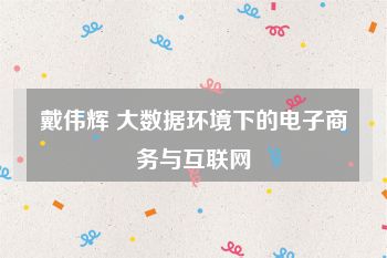 戴伟辉 大数据环境下的电子商务与互联网