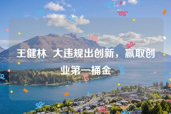王健林  大违规出创新，赢取创业第一桶金