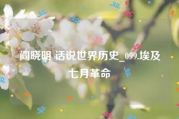 阎晓明 话说世界历史_099.埃及七月革命