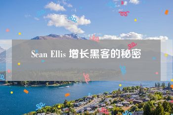 Sean Ellis 增长黑客的秘密