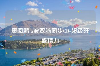 廖阅鹏 a波双脑同步CD-超级旺盛精力