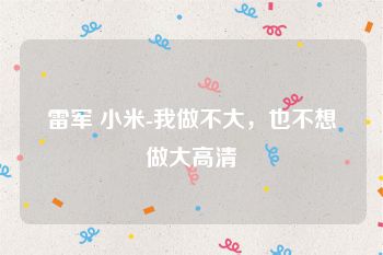 雷军 小米-我做不大，也不想做大高清