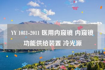 YY 1081-2011 医用内窥镜 内窥镜功能供给装置 冷光源