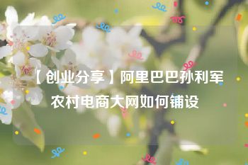 【创业分享】阿里巴巴孙利军农村电商大网如何铺设