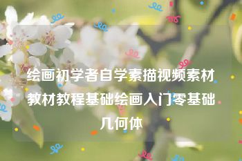 绘画初学者自学素描视频素材教材教程基础绘画入门零基础几何体