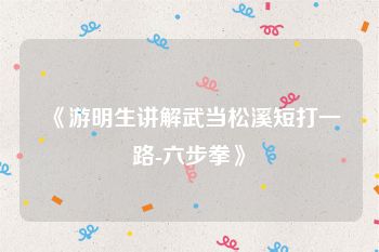 《游明生讲解武当松溪短打一路-六步拳》