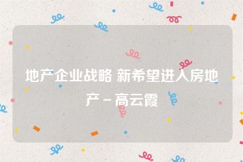 地产企业战略 新希望进入房地产－高云霞