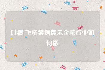 叶檀 飞贷案例展示金融行业如何做
