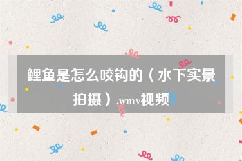 鲤鱼是怎么咬钩的（水下实景拍摄）.wmv视频