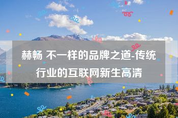 赫畅 不一样的品牌之道-传统行业的互联网新生高清