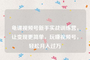 龟课视频号新手实战训练营，让变现更简单，玩赚视频号，轻松月入过万