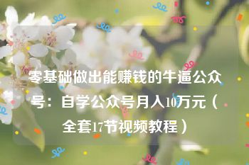 零基础做出能赚钱的牛逼公众号：自学公众号月入10万元（全套17节视频教程）