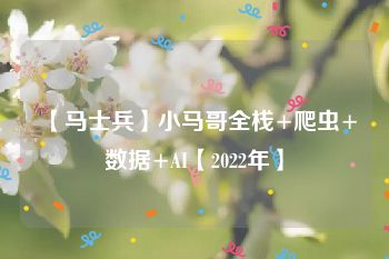 【马士兵】小马哥全栈+爬虫+数据+AI【2022年】