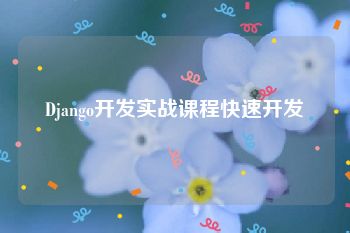 Django开发实战课程快速开发