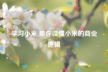 学习小米 带你读懂小米的商业逻辑