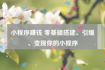 小程序赚钱 零基础搭建、引爆、变现你的小程序