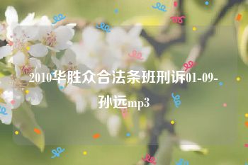 2010华胜众合法条班刑诉01-09-孙远mp3