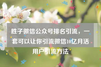 胜子微信公众号排名引流，一套可以让你引流微信10亿月活用户引流方法