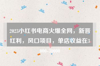 2023小红书电商火爆全网，新晋红利，风口项目，单店收益在3000-30000