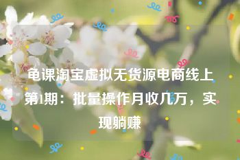 龟课淘宝虚拟无货源电商线上第1期：批量操作月收几万，实现躺赚