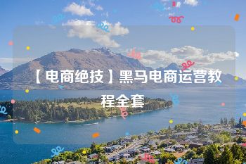 【电商绝技】黑马电商运营教程全套