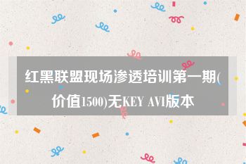 红黑联盟现场渗透培训第一期(价值1500)无KEY AVI版本