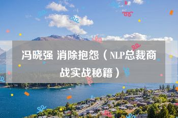 冯晓强 消除抱怨（NLP总裁商战实战秘籍）