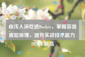 由浅入深吃透Docker，掌握容器底层原理，提升实战技术能力 2021年新品