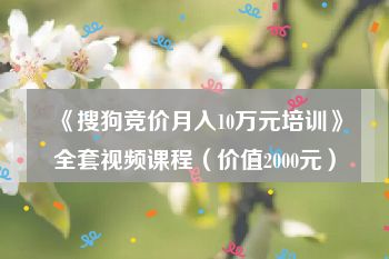 《搜狗竞价月入10万元培训》全套视频课程（价值2000元）