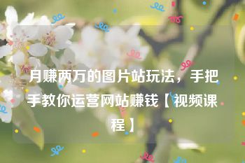 月赚两万的图片站玩法，手把手教你运营网站赚钱【视频课程】