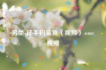 另类-徒手钓鲨鱼（视频）.wmv视频