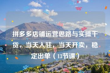 拼多多店铺运营思路与实操干货，当天入驻，当天开卖，稳定出单（13节课）