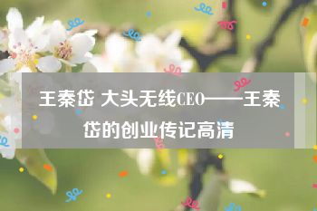 王秦岱 大头无线CEO——王秦岱的创业传记高清