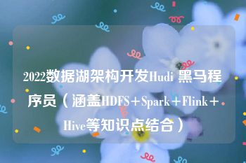 2022数据湖架构开发Hudi 黑马程序员（涵盖HDFS+Spark+Flink+Hive等知识点结合）