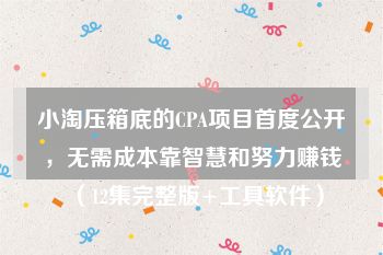 小淘压箱底的CPA项目首度公开，无需成本靠智慧和努力赚钱（12集完整版+工具软件）
