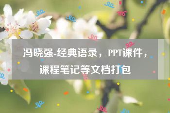 冯晓强-经典语录，PPT课件，课程笔记等文档打包
