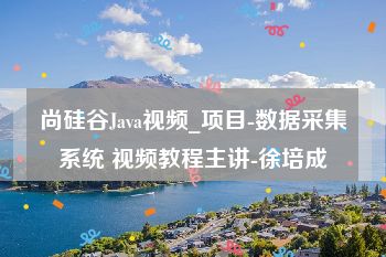 尚硅谷Java视频_项目-数据采集系统 视频教程主讲-徐培成