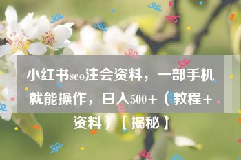 小红书seo注会资料，一部手机就能操作，日入500+（教程+资料）【揭秘】