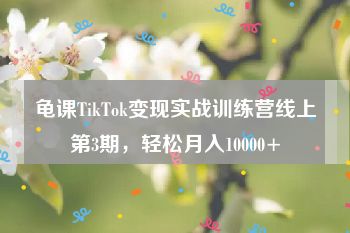 龟课TikTok变现实战训练营线上第3期，轻松月入10000+