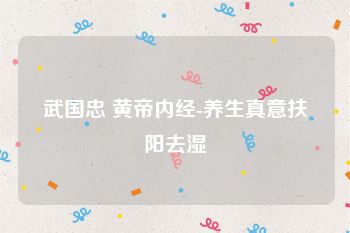 武国忠 黄帝内经-养生真意扶阳去湿