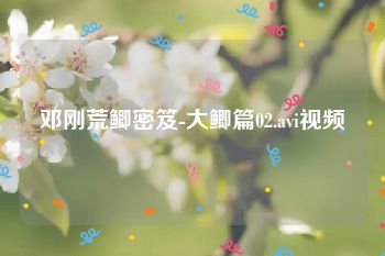 邓刚荒鲫密笈-大鲫篇02.avi视频