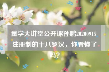 量学大讲堂公开课孙鹏20200915 注册制的十八罗汉，你看懂了吗？