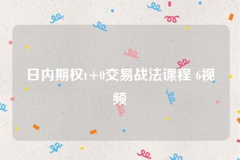 日内期权t+0交易战法课程 6视频