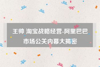 王帅 淘宝战略经营-阿里巴巴市场公关内幕大揭密