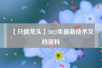 【只做龙头】2022年最新技术文档资料