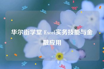 华尔街学堂 Excel实务技能与金融应用