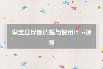 李宝安浮漂调整与使用12.avi视频
