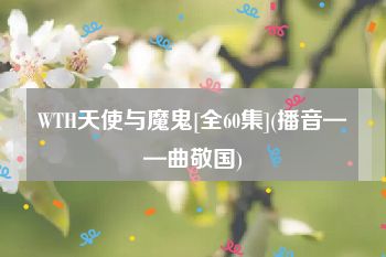 WTH天使与魔鬼[全60集](播音——曲敬国)